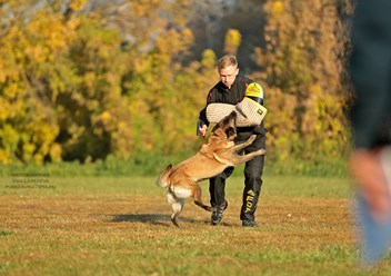 Фото компании  KARVIDEAN 2