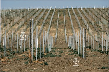 Фото компании ООО Гефест завод 10