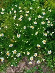 Фото компании АНО Импульс 2