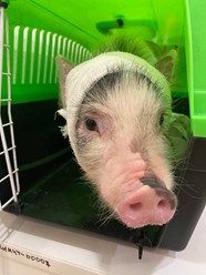 Фото компании  «Искра жизни» 11