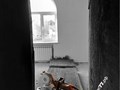 Фото компании ООО Спектр 4