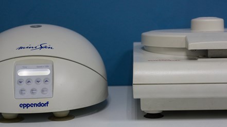 Фото компании  От носа до хвоста 6