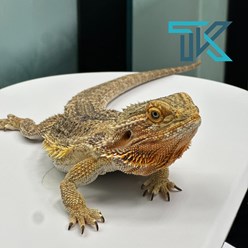 Фото компании  Тимура Казакова 6