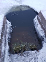 Фото компании  Банька 9