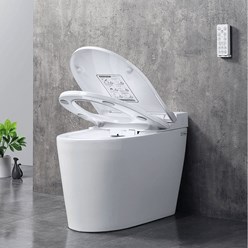 Умный унитаз-биде Brunnen Wal BW-2402 Auto open/close