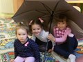 Фото компании ООО Лукумон 2