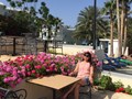 Фото компании ип GOLD TRAVEL 1