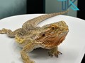 Фото компании  Тимура Казакова 6