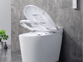 Умный унитаз-биде Brunnen Wal BW-2402 Auto open/close