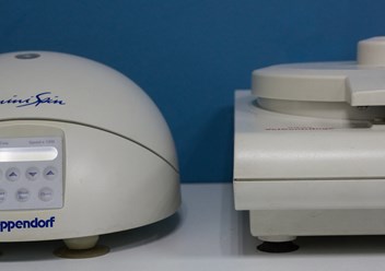 Фото компании  От носа до хвоста 6