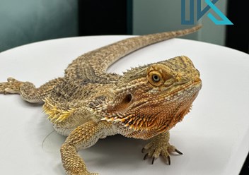 Фото компании  Тимура Казакова 6