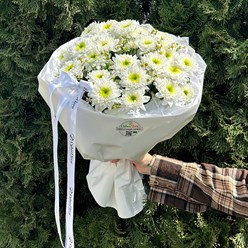 Фото компании  Cyber Flora 24
