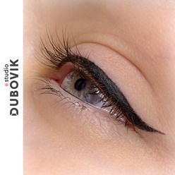 Фото компании  DUBOVIK 8
