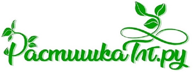 Фото компании  Растишка ТЛТ 2