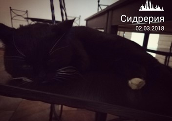 Фото компании  Тут пьют сидр, сидрерия 3