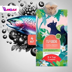 Фото компании ООО Ёмолл 12