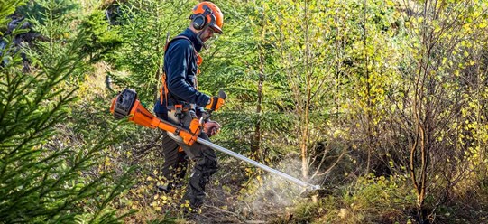 +79592836406.Покос травы любой сложности триммером в Луганске, спил - распил деревьев и кустарников, очистка участка от поросли.