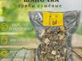 Сморчковая шапочка сушеная: весенний деликатес с богатым составом