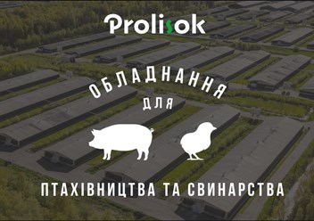 Фото компании  Prolisok 1