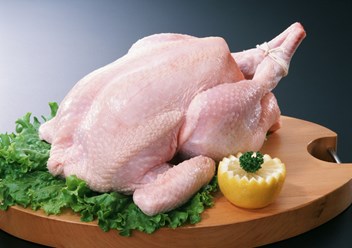 Наша компания предлагает Вам приобрести мясо утки,кролика и овощную консервацию на прямую от производителя.Мясо утки и кролика с собственного хозяйства в Краснодарском крае.http://ytkaopt.ru