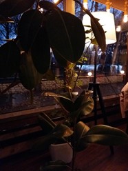 Фото компании  Terrazza_cafe, кафе 2