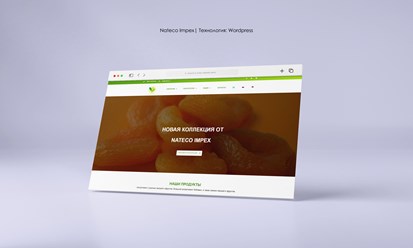 Корпоративный сайт для Nateco Impex
