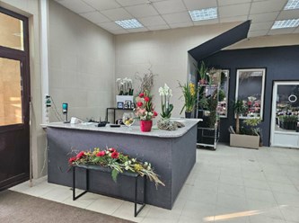 Фото компании ИП ЦветоБар 27