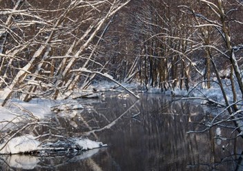 Фото компании  КАРДИНАЛ ПЛЮС, ООО 1