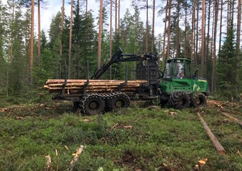 Компания FIRO. Заготовка древесины на арендованных участках.