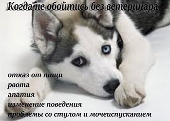 Фото компании ООО Белый Бим 13