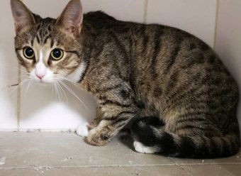 Фото компании  Эпиона 2