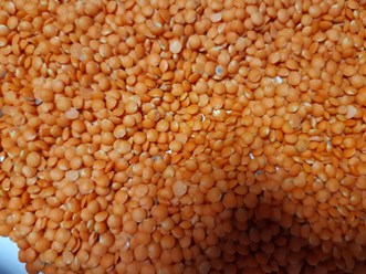 Чечевица красная шелушенная