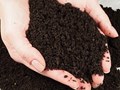 Фото компании  Из Копаневки 3