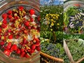 Фото компании  Травник Рина Ржевская 3