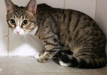 Фото компании  Эпиона 2