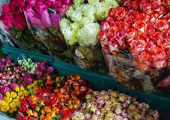 Фото компании  Первый цветочный оптовый 3