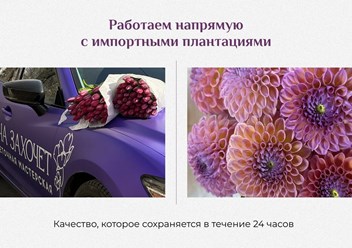 Фото компании ИП Она захочет 2