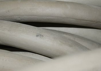 Шнуры резиновые