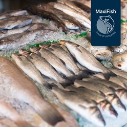 Фото компании ООО МаксиФиш 2