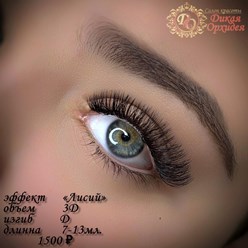 Фото компании  Дикая Орхидея 14