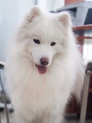 Фото компании  Ветеринарная клиника «Веда» 15