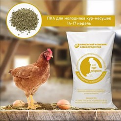 Полнорационный сбалансированный комбикорм для формирования яйцевода в предкладковый период у несушек в возрасте 14-17 недель. Оптимальное соотношение витаминов и минералов для укрепления иммунитета по