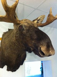 Фото компании  Русская Охота 10