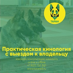 Фото компании  Кинологический центр "Таран" 8