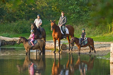 Фото компании АНО КСК "Барселона" АНО КСК "БАРСЕЛОНА" 4