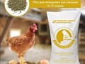 Полнорационный сбалансированный комбикорм для формирования яйцевода в предкладковый период у несушек в возрасте 14-17 недель. Оптимальное соотношение витаминов и минералов для укрепления иммунитета по