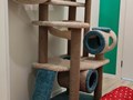 Игровая комната для кошек