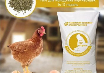 Полнорационный сбалансированный комбикорм для формирования яйцевода в предкладковый период у несушек в возрасте 14-17 недель. Оптимальное соотношение витаминов и минералов для укрепления иммунитета по