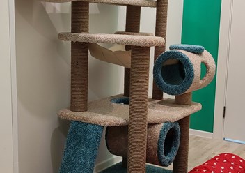 Игровая комната для кошек