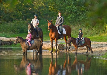 Фото компании АНО КСК "Барселона" АНО КСК "БАРСЕЛОНА" 4